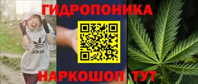 тгк Вязьма