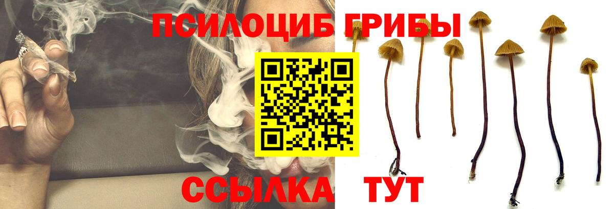 Псилоцибиновые грибы Psilocybine cubensis  Вход с VPN  Верхняя Салда 